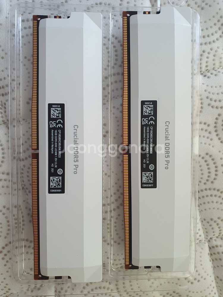 크루셜 프로 32GB DDR5 6000 cl36 택포 32만--3