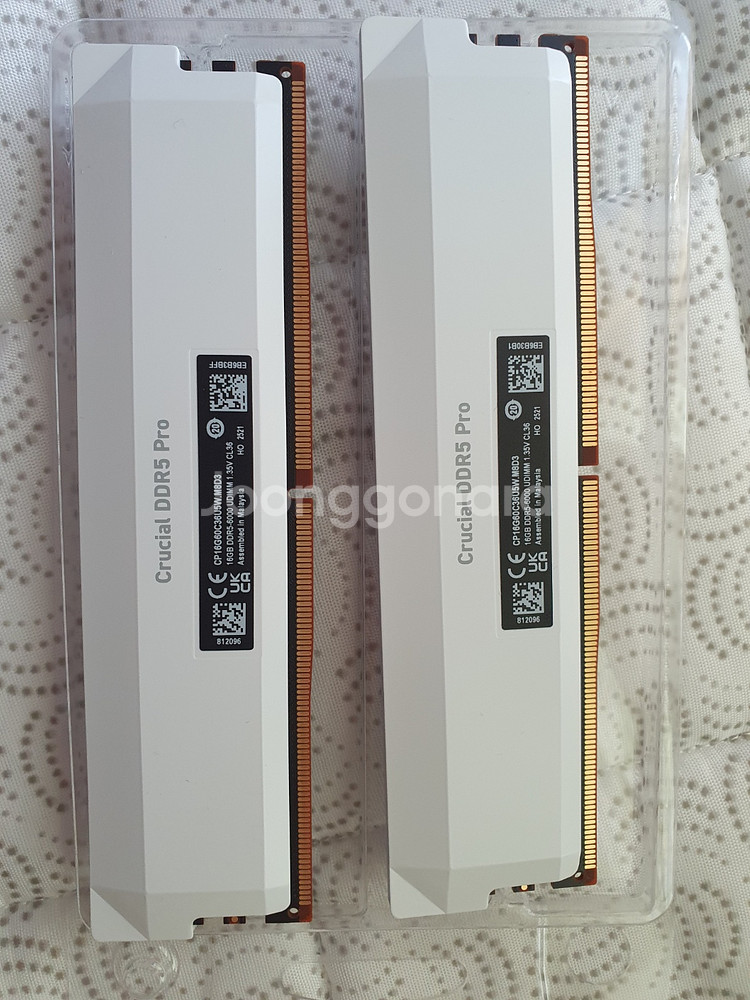 크루셜 프로 32GB DDR5 6000 cl36 택포 32만--4