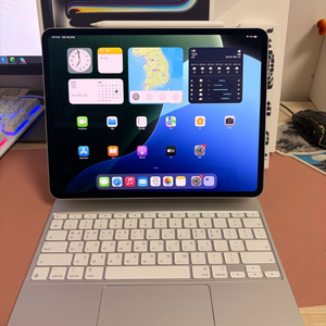 아이패드 프로 m4 13인치 256기가 실버 와이파이 풀박+매키+애펜프로 풀세트