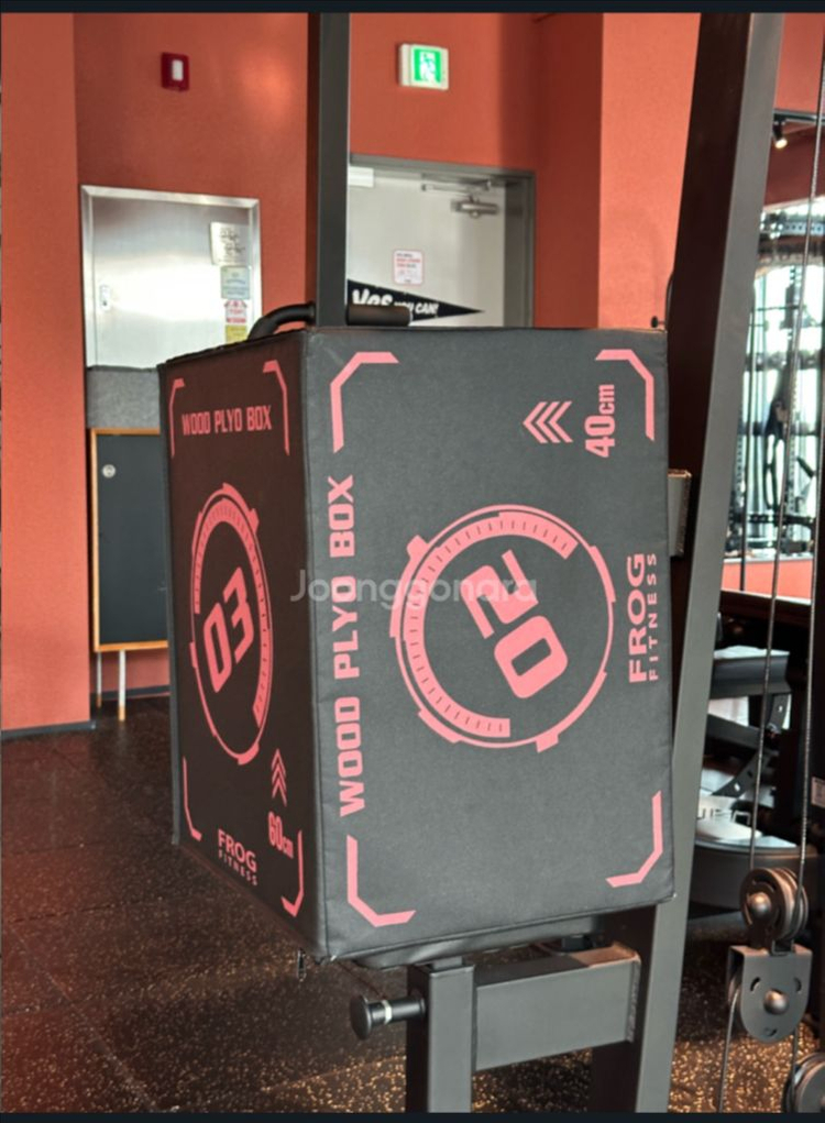 플라이오박스--1