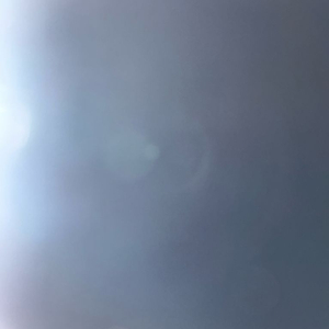 임영웅 콘서트 대전 첫콘 원가양도 연석