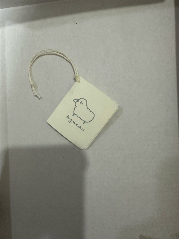 앙뉴 라릭스 블랙 크릭클 부츠 210사이즈 이미지