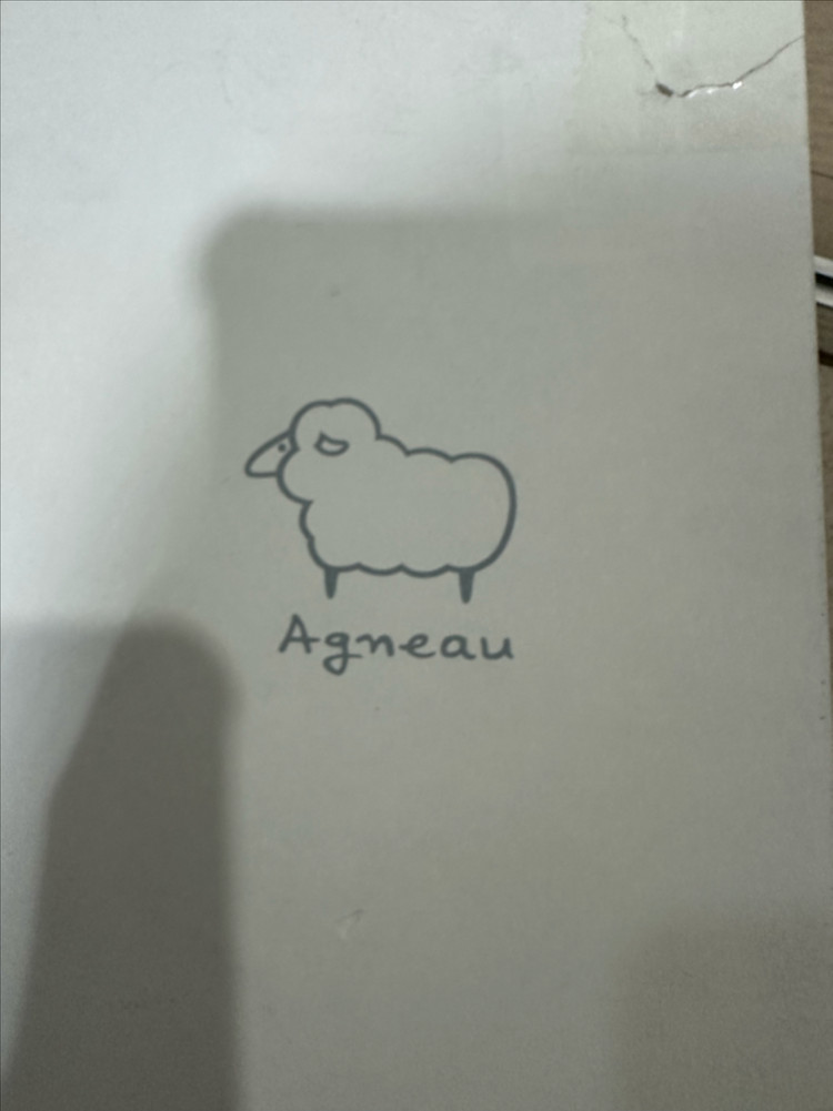 앙뉴 라릭스 블랙 크릭클 부츠 210사이즈 이미지