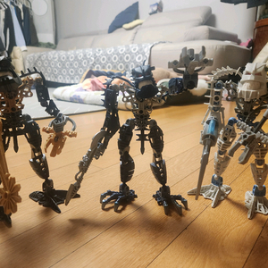 바이오니클 피라카 판매합니다.