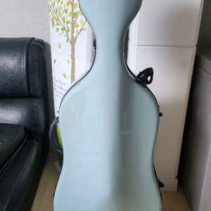 뱀 첼로 하드케이스 프랑스