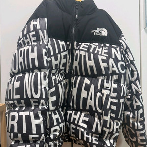 노스페이스 패딩점퍼 100