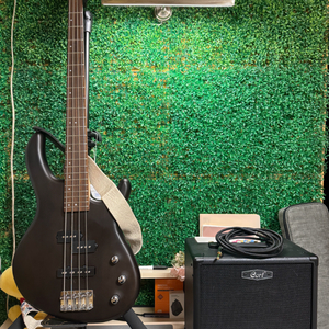 콜트 베이스 PJ 기타