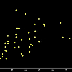 안스리움 예약..