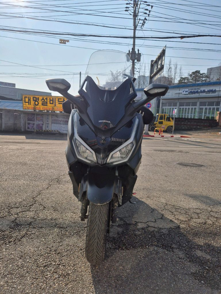 혼다 포르자350 24년식--0