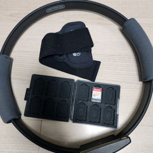 닌텐도 스위치 링피트 어드벤처