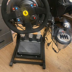 트러스트마스터t300