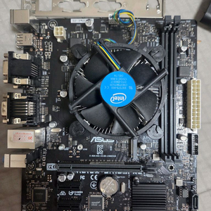 G5420 CPU + ASUS H310M 메인보드 세트