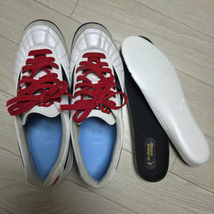 미즈노 모렐리아 살라 재팬 JPN TF 275mm 팝니다