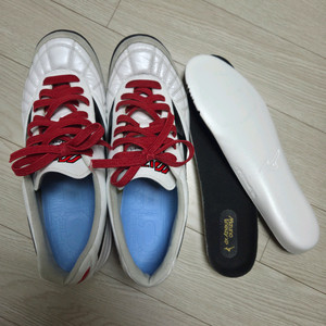 미즈노 모렐리아 살라 재팬 JPN TF 275mm 팝니다