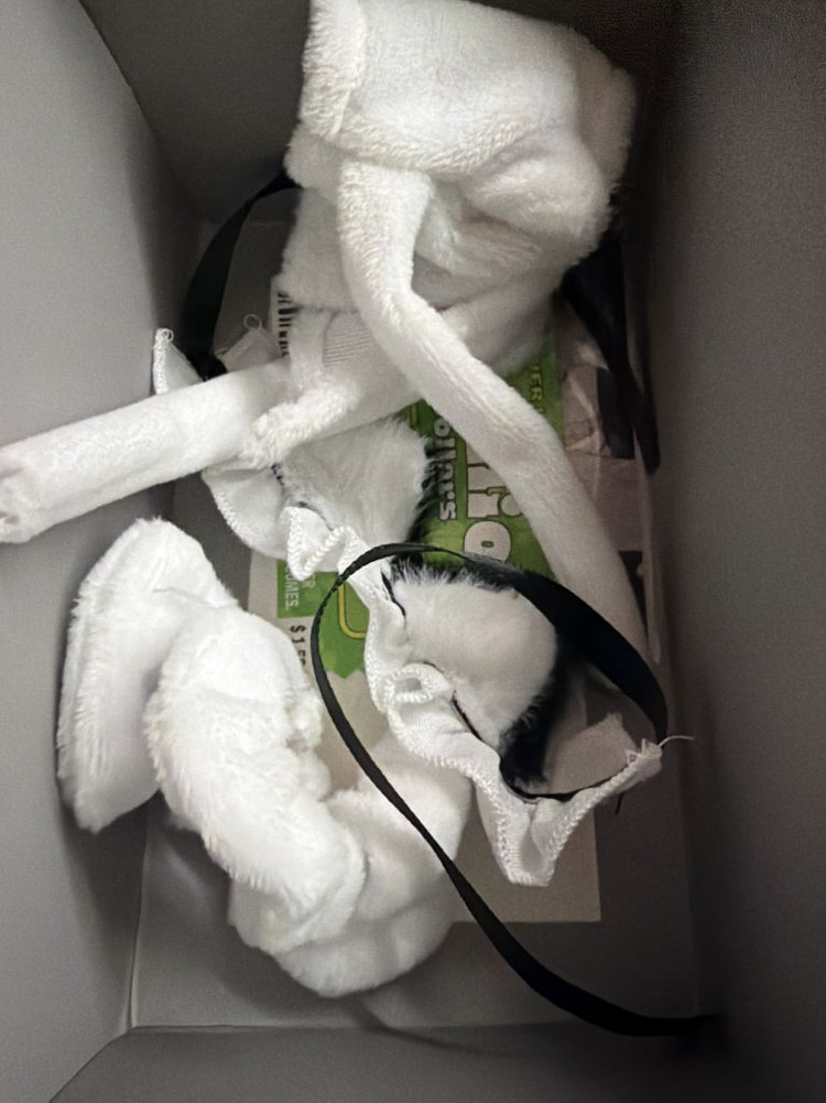 키미가시네 네가죽어 네죽 뇨끼케쥐 케이지 / 사라자냐 사라 + 솜인형옷 이미지