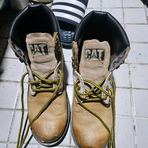 캐터필라 워커/ 260~270