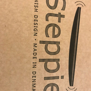 stepping 발란스 보드