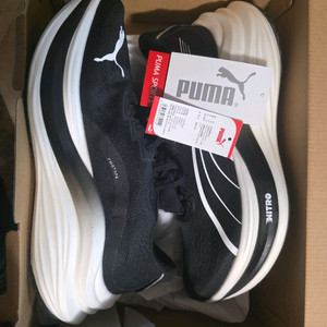 푸마 매그맥스 나이트로 270