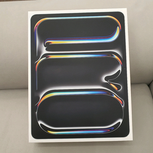 아이패드프로13 M4 셀룰러 512GB 배터리100%