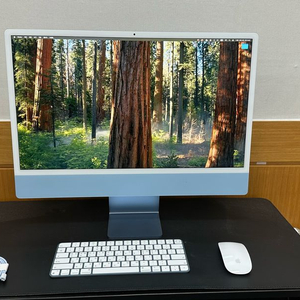 올인원 데스크톱 24인치 M3 8GB 256GB