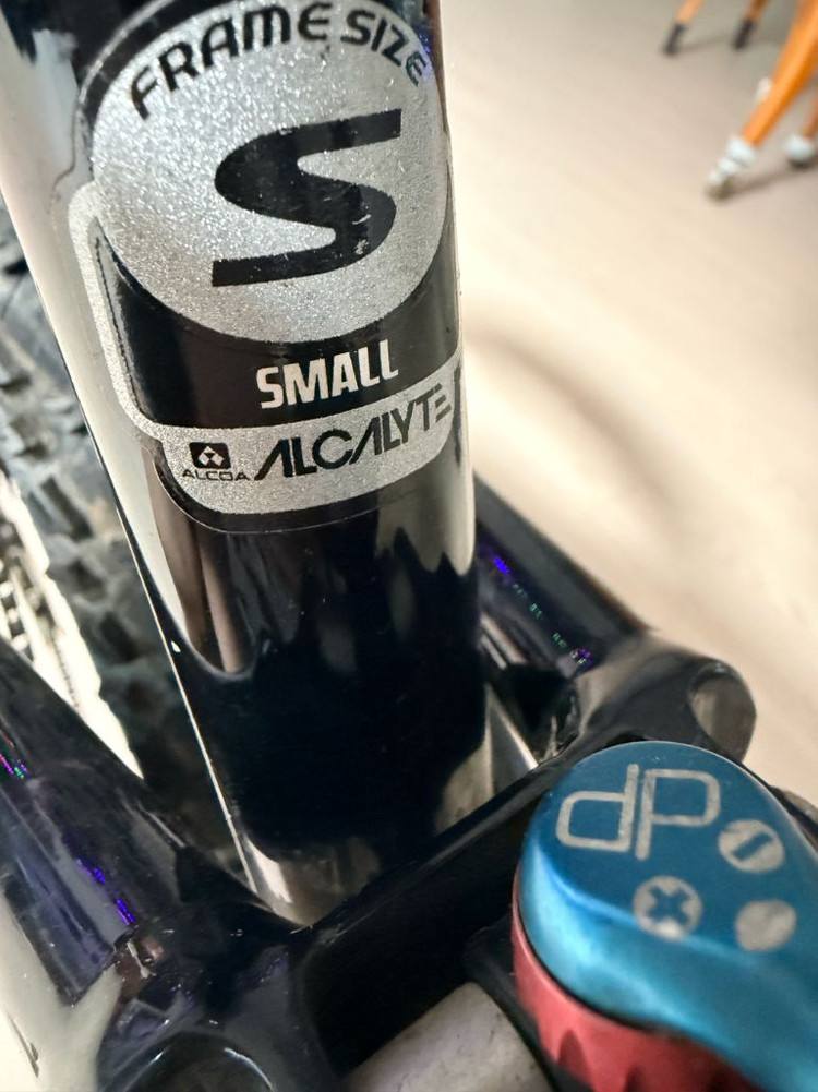 캐논데일 러쉬 팀 레플리카 자전거--2