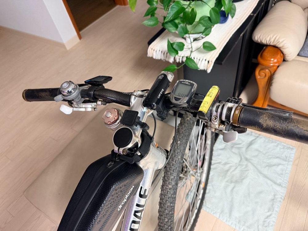 캐논데일 러쉬 팀 레플리카 자전거--3