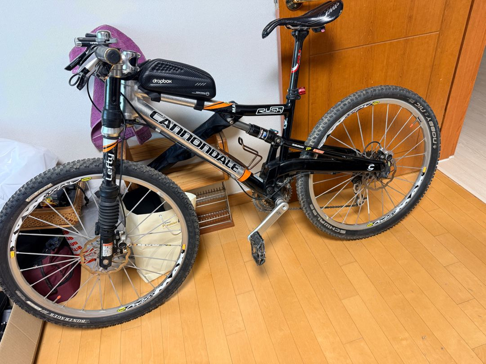 캐논데일 러쉬 팀 레플리카 자전거--4