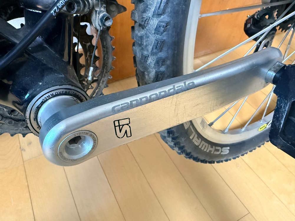 캐논데일 러쉬 팀 레플리카 자전거--5