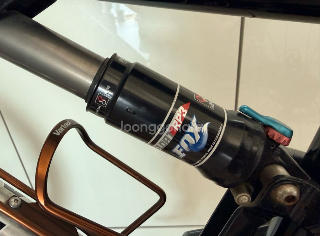 캐논데일 러쉬 팀 레플리카 자전거--8