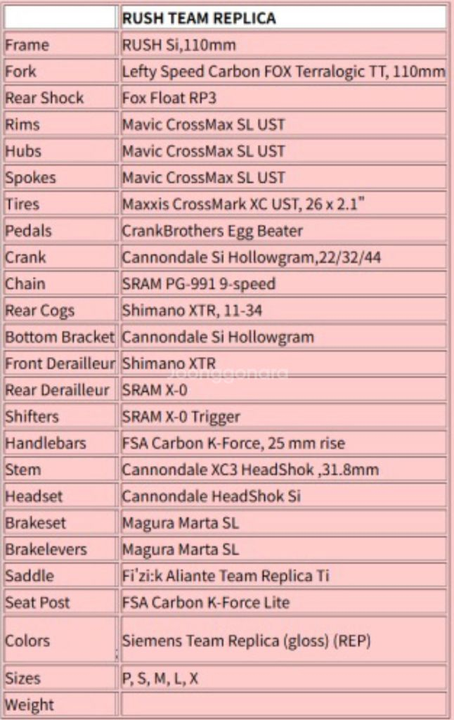 캐논데일 러쉬 팀 레플리카 자전거--9