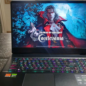 MSI 하이엔드 17.3인치 라이젠9 게이밍 노트북/램32G,4070