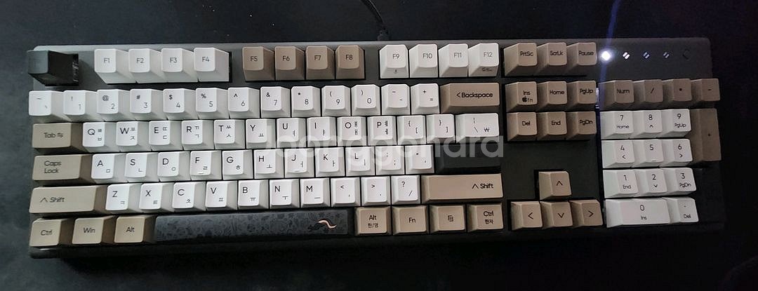 COX CMF104 8K 유선 무접점 래피드 트리거 키보드 다람쥐 에디션 45g--2