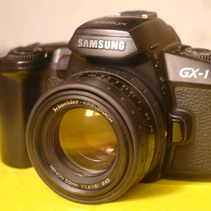 삼성 케녹스 GX-1 필름카메라 이미지