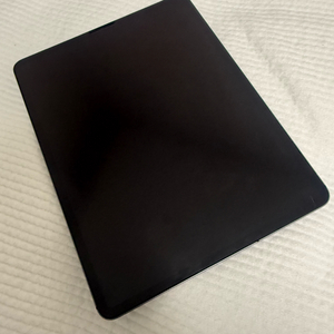 아이패드 프로 4세대 12.9 256GB