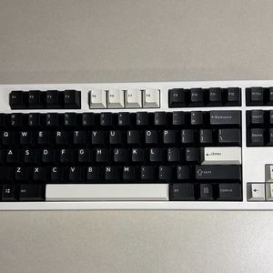 트랜지션 라이트 화이트 논플렉스컷 고스트저지 키캡