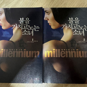 <불을 가지고 노는 소녀> 밀레니엄 2부 스티그 라르손 장편소설