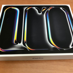 아이패드 프로 13인치 M5 셀룰러 1TB