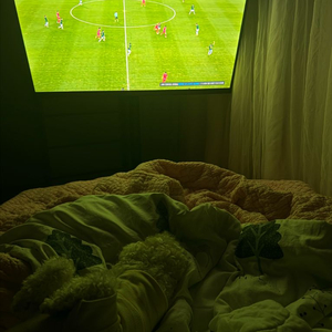 큐빅스32인치 이동식스마트TV