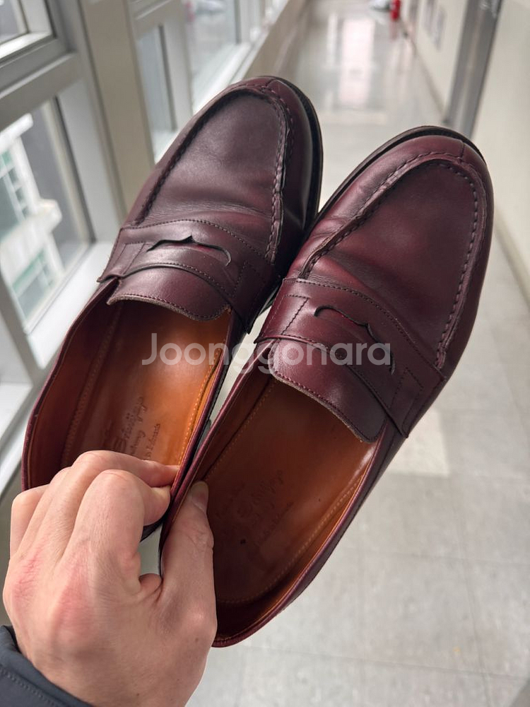 란스미어 로퍼--1