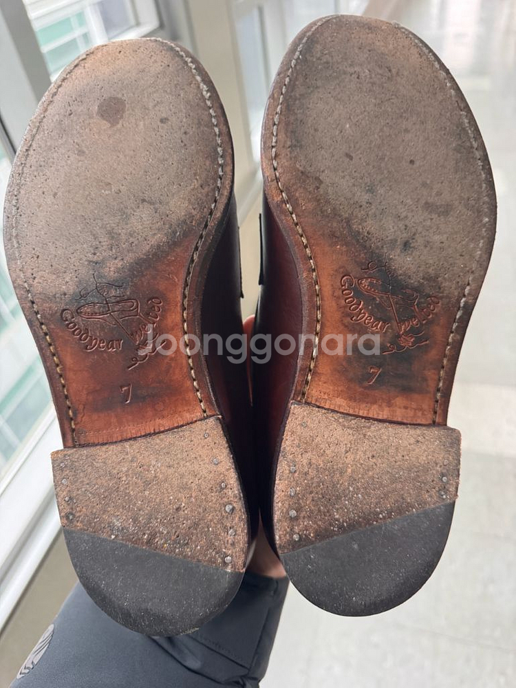 란스미어 로퍼--3