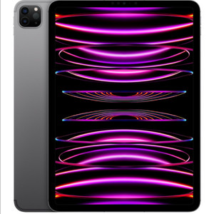 아이패드 프로 11인치 4세대 M2 512GB 이미지