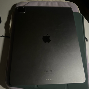 아이패드 프로 12.9 6세대 256