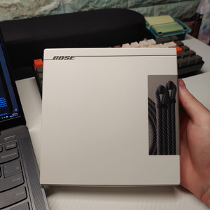 보스 사운드링크 맥스 숄더 스트랩