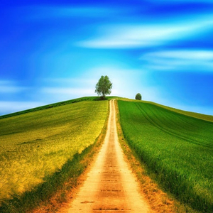 부가세매입자료 판매합니다