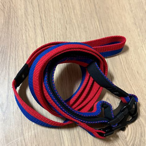 HAY 목줄 리쉬 세트