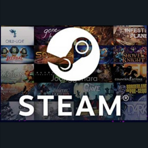 스팀 월렛 5천원권