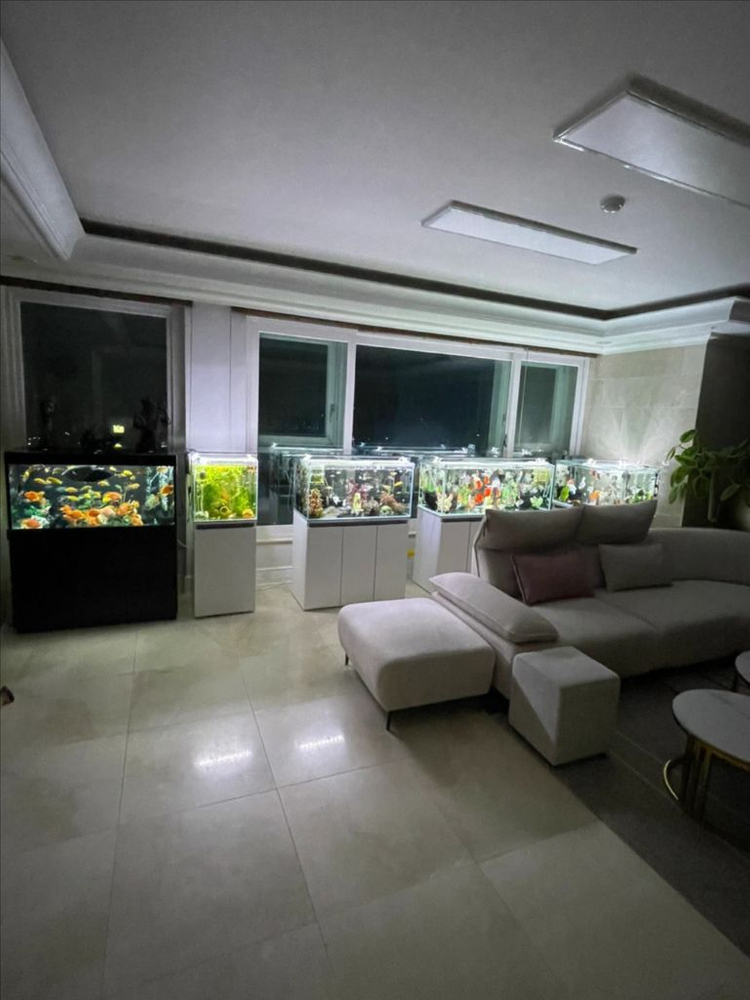 (경기 북부) 상아쿠아 SM 3자 광폭 수조 90x45x45 8T 축양장 어항 받침대 뚜껑 세트 A급 판매--3