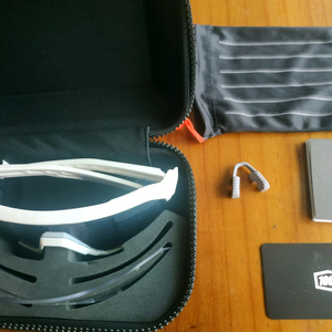 100% S3, S2 고글 판매