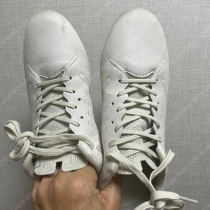 아슬레타 프록시마 265 이미지