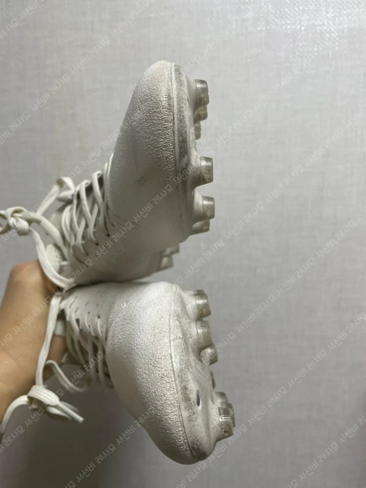 아슬레타 프록시마 265 이미지